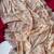 Beige Color  Sequins embroidered jaal and multi thread georgate saree cutwork design 