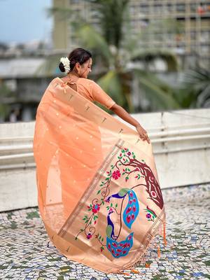 Orange woven self design organza paithani saree with blouse 5