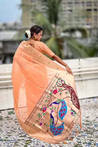 Orange woven self design organza paithani saree with blouse