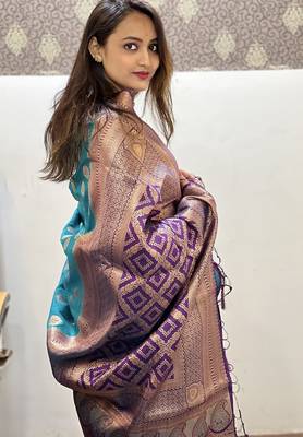 Sky blue woven self design silk blend paithani saree with blouse 3