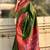 Mehendi woven self design tissue silk blend patola saree with blouse