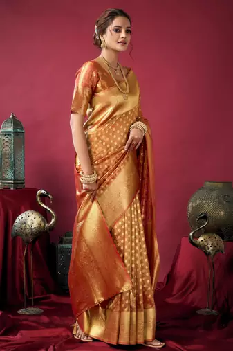 Elegant tissue silk blend saree with zhallar border  lightweight & shimmering drapape