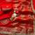 Red Color weaving jacquard border and sequence lace border Satin saree