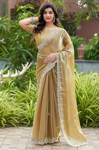 Beige embroidered shimmer chiffon bollywood saree with blouse