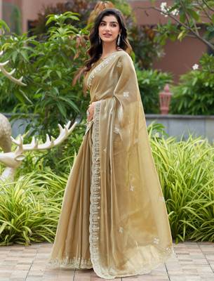 Beige embroidered shimmer chiffon bollywood saree with blouse 3