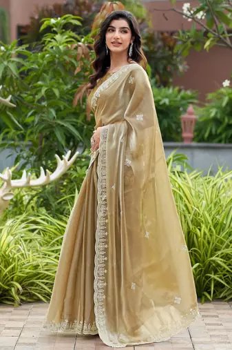 Beige embroidered shimmer chiffon bollywood saree with blouse