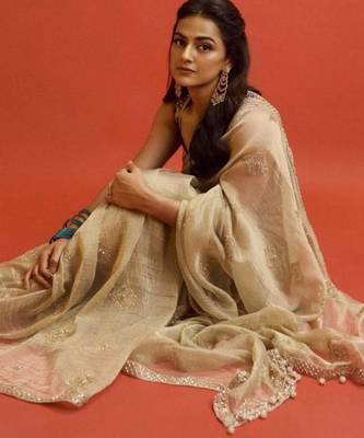 Gold embroidered saree with delicate zari work 3