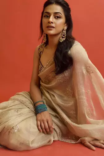 Gold embroidered saree with delicate zari work