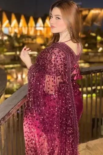 Wine embroidered net saree  with sequins work