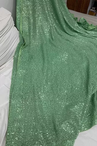 Bollywood sequin work saree with bangalory silk blend blouse(bollywood replica)