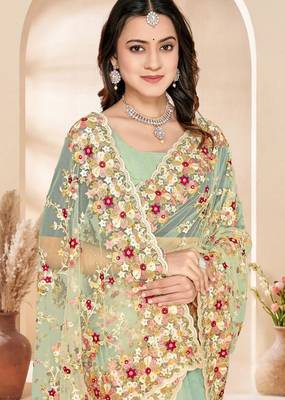 C green color net resham embroidered & zircon work saree 2