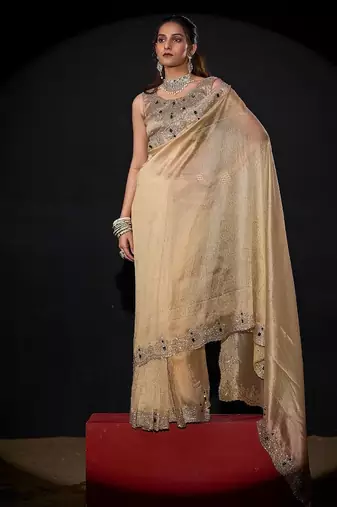 Chiku color kanjivaram pure silk zircon border saree