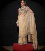 Chiku color kanjivaram pure silk blend zircon border saree