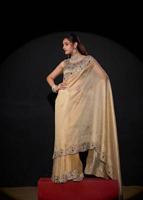 Chiku color kanjivaram pure silk blend zircon border saree 2