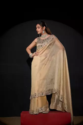 Chiku color kanjivaram pure silk blend zircon border saree