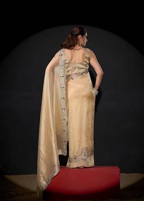 Chiku color kanjivaram pure silk blend zircon border saree 3