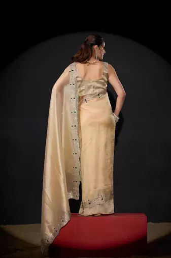 Chiku color kanjivaram pure silk blend zircon border saree