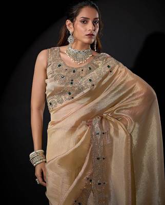 Chiku color kanjivaram pure silk blend zircon border saree 4