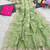Light Green Color embroidery and multi Thread work Silk Saree