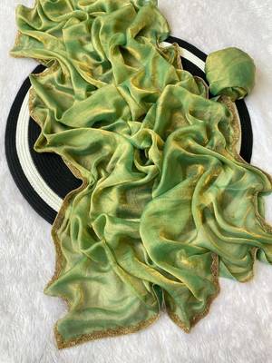 Pista fendy chiffon serosky work party wear  saree 2