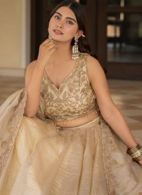 Cream Zari Sequence Embroidery Work Gold Crush Silk Semi Stiched Lehenga Choli 2