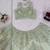 Pista Green Net Embroidered Lehenga Choli Set With Dupatta