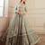 Light Pista Zari Work Lehenga Choli