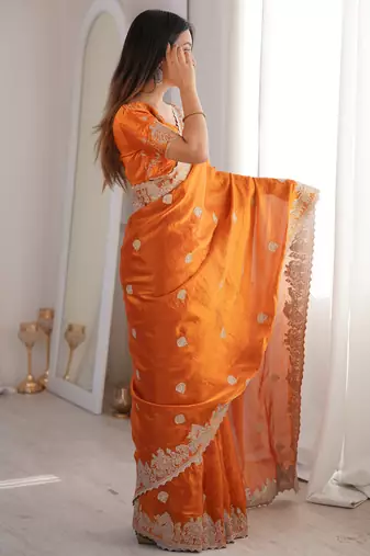 Women elegant woven design saree with embroidered lace border