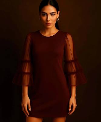 Maroon sheer sleeve dress 1