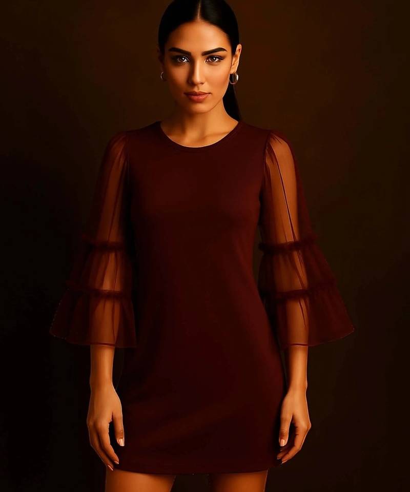Maroon sheer sleeve dress