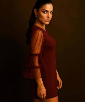 Maroon sheer sleeve dress 2