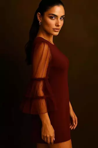 Maroon sheer sleeve dress