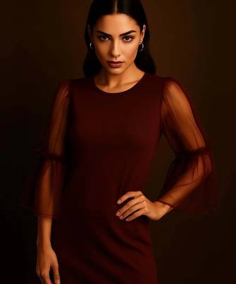 Maroon sheer sleeve dress 3