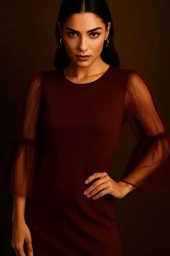 Maroon sheer sleeve dress