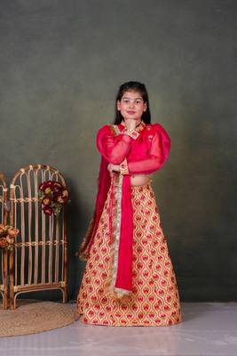 girls pink lehenga choli set with embroidery 3
