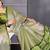 Resham sutra green silk blend tassel saree with satin gold blouse piece