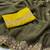 Mahaendi  Color  Embroidery Work Georgette Saree