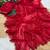 Red Color  Khatli Beads & Moti Handwork Chiffon Silk Saree