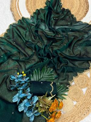 green chiffon saree with beads moti handwork 2