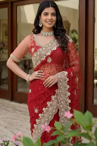 red net saree with gold thread embroidery work