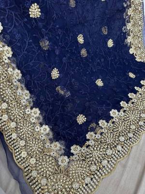 blue net saree with silver floral embroidery 5