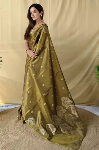 brown tissue saree with elephant motif zari border