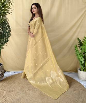 beige tissue saree with woven elephant border design 2