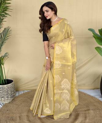 beige tissue saree with woven elephant border design 3