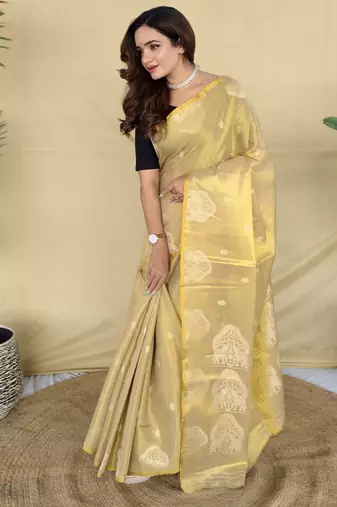 beige tissue saree with woven elephant border design