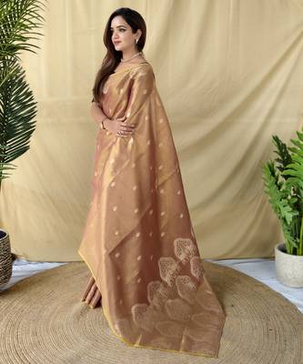 onion pink tissue saree with zari woven elephant border 3