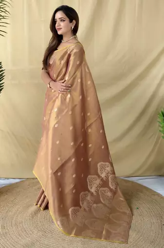 onion pink tissue saree with zari woven elephant border