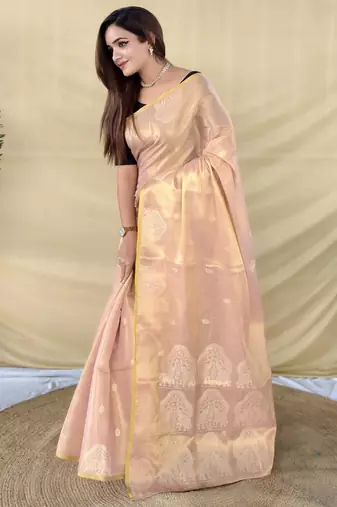 light pink tissue saree with zari elephant border design