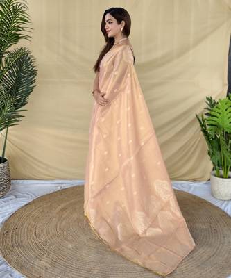 light pink tissue saree with zari elephant border design 3