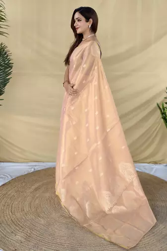 light pink tissue saree with zari elephant border design